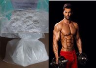 Injectable Bodybuilding Steroid 99% Purity