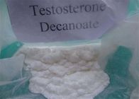 Testosterone Anabolic Steroid Testosterone DECA CAS: 5721-91-5 White Powder for Muscle Gaining