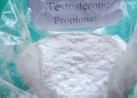 Mass Gaining Testosterone Anabolic Steroid Propionate , Injectable Anabolic Steroids CAS 57-85-2