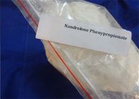 Man Testosterone Phenylpropionate Muscle Building Steroids Powder CAS 1255-49-8