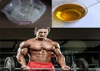 Test ISO 99% Testosterone Isocaproate , Safe Steroids For Muscle Building CAS 15262-86-9