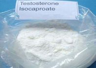 Muscle Building Testosterone Isocaproate Anabolic Steroid CAS 15262-86-9