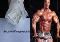 Nandrolone Phenylpropionate Muscle Building Steroids