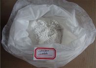 Muscle Building Clomifene Citrate Powder Steroids Clomid CAS 50-41-9 White Powder