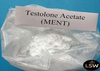 Injectable Trestolone Acetate Powder CAS 6157-87-5 MENT Powder Musclebuilding