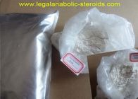 Legal Anabolic Steroids Testosterone Base 58-22-0 Powder for Treating Lack of Testosterone