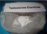 High Purity Cutting Cycle Steroids Raw Testosterone Enanthate Powder 315-37-7 For Muscle Gain