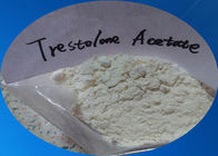 Trestolone Acetate Anabolic Androgenic Steroids for Bodybuilding CAS :6157-87-5