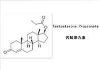 Testosterone Propionate Androgenic Anabolic Steroids , Test Prop Powder Muscle Gaining