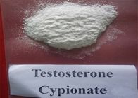 Powder Injectable Anabolic Steroids Hormone Testosterone Cypionate 58-20-8 Purity 99%
