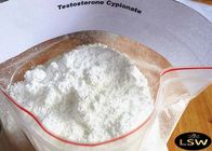 Testosterone Cypionate Cutting Cycle Steroids 99% Purity Test Cyp Mass Gaining Powder