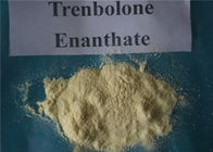 Cutting Cycle Parabolan Steroid , Trenbolone Enanthate Powder CAS 10161-33-8