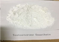 Test Enanthate Powder Legal Injectable Steroids Hormone CAS 315 37 7 For Muscle Gaining