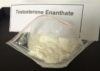 White Test Enanthate Powder , Fast Muscle Growth Steroids CAS 315 37 7 Pharmaceutical Grade