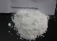 White Test Enanthate Powder , Fast Muscle Growth Steroids CAS 315 37 7 Pharmaceutical Grade