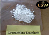 99% Purity Masteron Steroid Drostanolone Enanthate White Powder Bodybuilding Supplements