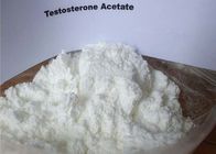 Clostebol Acetate Fat Burning Steroids White Raw Powder CAS 855-19-6 For Bodybuilding