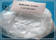 Injectable Hormone Boldenone Acetate High Purity White Powder CAS 2363-59-9 For Bodybuilding