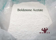 Injectable Hormone Boldenone Acetate High Purity White Powder CAS 2363-59-9 For Bodybuilding