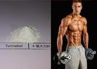 Healthy Legal Anabolic Steroids 4-Chlorodehydromethyltestosterone / Oral Turinabol Cas 2446-23-3