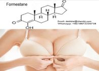 Effective Anti Estrogen Steroids CAS 566-48-3 99% Purity Formestane Powder
