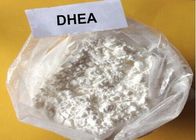 Bodybuilding Legal Anabolic Steroids DHEA CAS 53 43 0 Protecting Against Obesity