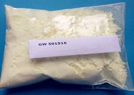 GW501516 Mass Lean Fat Burning Steroids Sarms Bodybuilding Supplements White Powder