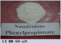Nandrolone Phenylpropionate DECA Durabolin Steroid CAS 62-90-8 Gainning Muscle Lose Fat