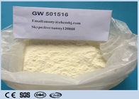 Fat Burning 99% Cardarine Sarm , White Raw Powder Cardarine GW 501516 For Weight Loss