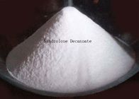 White Legal Nandrolone Steroid , Nandrolone Decanoate Powder For Bulding Muscles