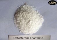 White Powder Testosterone Enanthate Steroids Mass Gaining Usage CAS 315-37-7