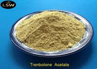 Tren Acetate Trenbolone Powder CAS 10161-34-9 Yellow Color Bodybuilding Supplements
