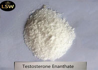 White Crystalline PowderTestosterone Anabolic Steroid Enanthate CAS 315-37-7