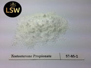 CAS 1255-49-8 Legal Anabolic Steroids Healthy Effectual Steroids Raw Powder Testosterone Phenylpropionate
