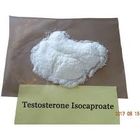 Testosterone Isocaproate Raw Steroid Powders For Muscle Growth CAS 15262-86-9
