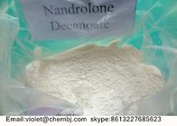 Muscle Building Legal Anabolic Steroids , Test Deca Powder Testosterone Decanoate CAS 5721-91-5