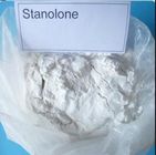 Stanolone Powder Male Enhancement Steroids CAS 521-18-6 Muscle Building Steroids