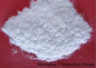 Nolvadex / Tamoxifen Citrate Estrogen Blocker Supplement White Powder CAS 54965-24-1