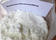 Nandrolone Decanoate Nandrolone Raw Steroid Powder Nandrolone Deca CAS 360-70-3