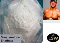 High Purity Testosterone Phenylpropionate Powder CAS 1255-49-8 For Muscle Building