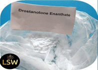 Masteron Muscle Building Supplements Drostanolone Enanthate CAS 472-61-145 99% Purity
