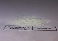 CAS 315-37-7 Testosterone Enanthate Powder , Test Enan Androtardyl Testosterone Injections Steroids