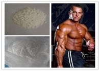 CAS 1045-69-8 Trenbolone Powder , Natural Anabolic Steroids Testosterone Acetate Powder