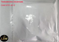 White Color Legal Anabolic Steroids Testosterone Decanoate Powder CAS 5721-91-5