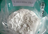 Lidocaine Hydrochloride Powder Pain Reliever , Raw Steroid Powders CAS 73-78-9
