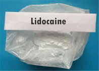 99.9% Assay Local Anaesthesia Drugs Lidocaine White Powder CAS 137-58-6 For Numbing Skin Tissue