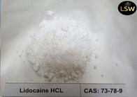 White Color Local Anaesthesia Drugs Linocaine Hydrochloride Powder CAS 6108-05-0