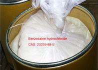 99% Purity Local Anaesthesia Drugs Benzocaine Hydrochloride Pain Killer CAS 23239-88-5