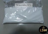 Benzocaine Hydrochloride Steroid Raw Powder , Pain Relief Powder CAS 23239-88-5