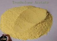 Trenbolone Acetate Legal Anabolic Steroids Cutting Cycle Injectable Bodybuilding Supplements